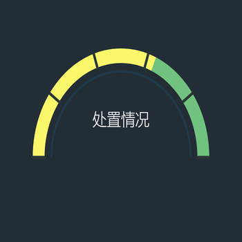 处置情况
