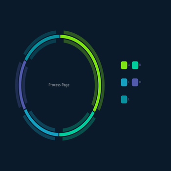 Process Page