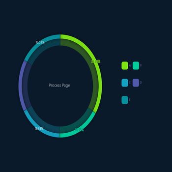 Process Page