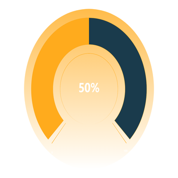 44%饼图