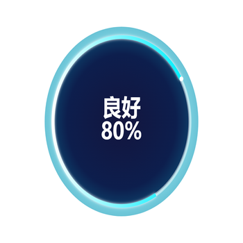 饼状图评分