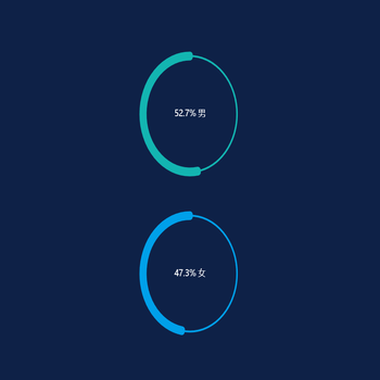 环形图
