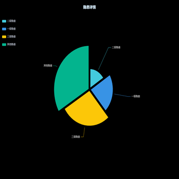 隐患详情