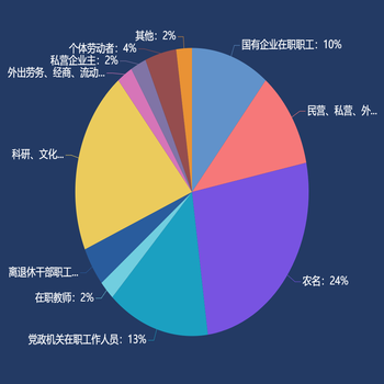 职业身份