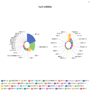 Top20 公司和职业