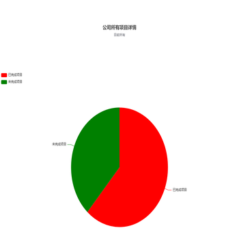 公司所有项目详情