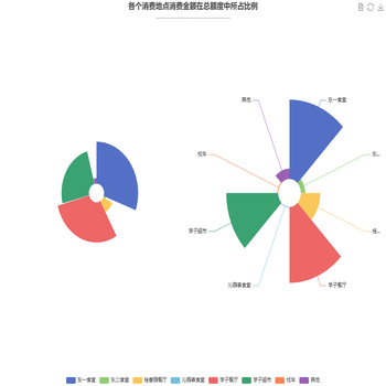 各个消费地点消费金额在总额度中所占比例