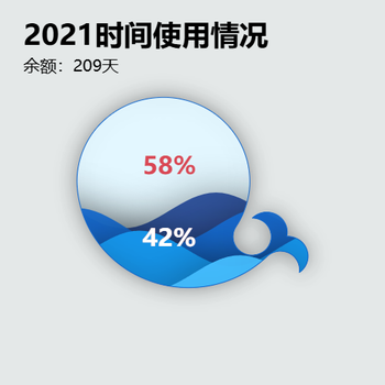 2021时间使用情况